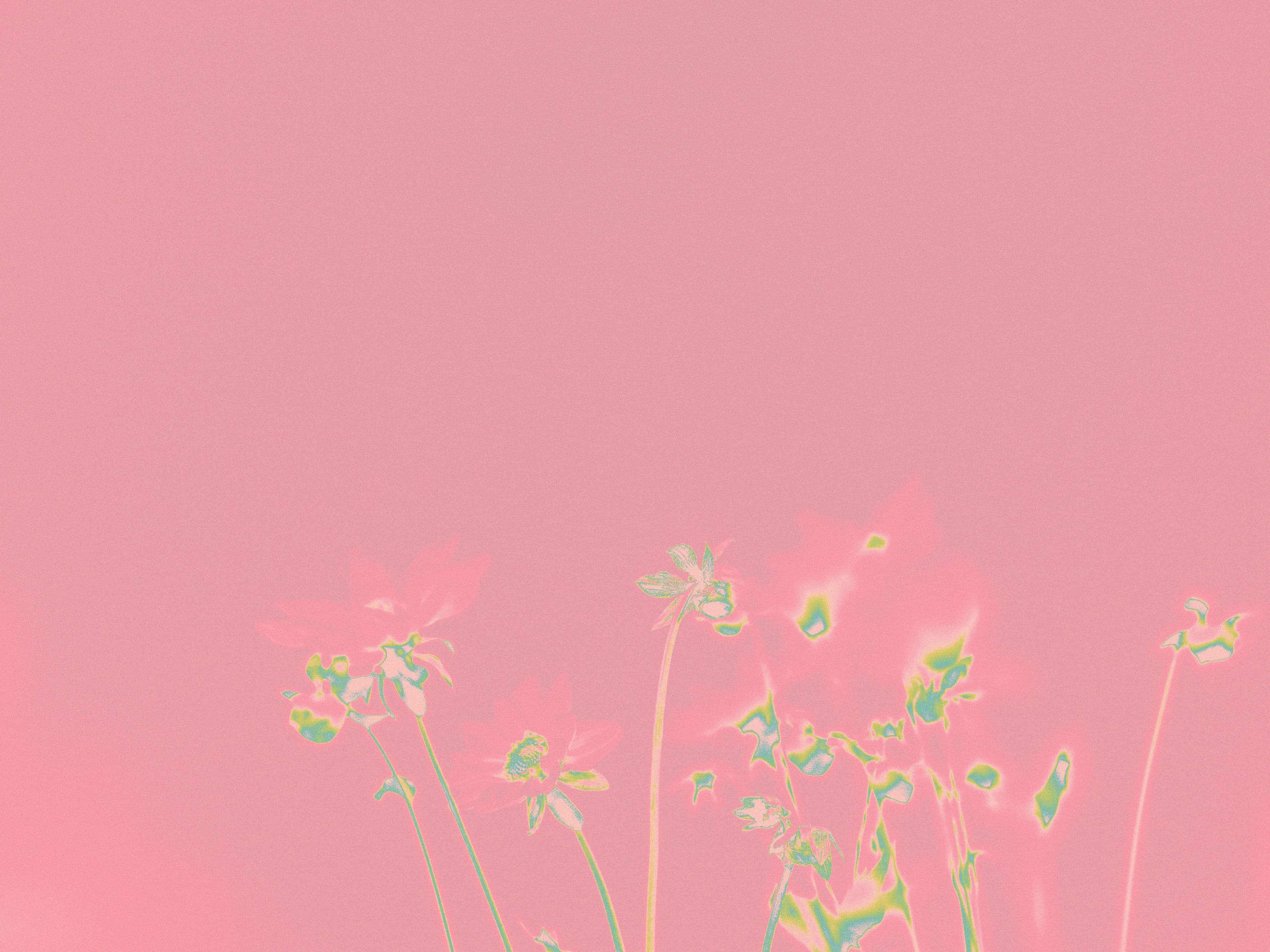 MAGIAttention mainpage blog